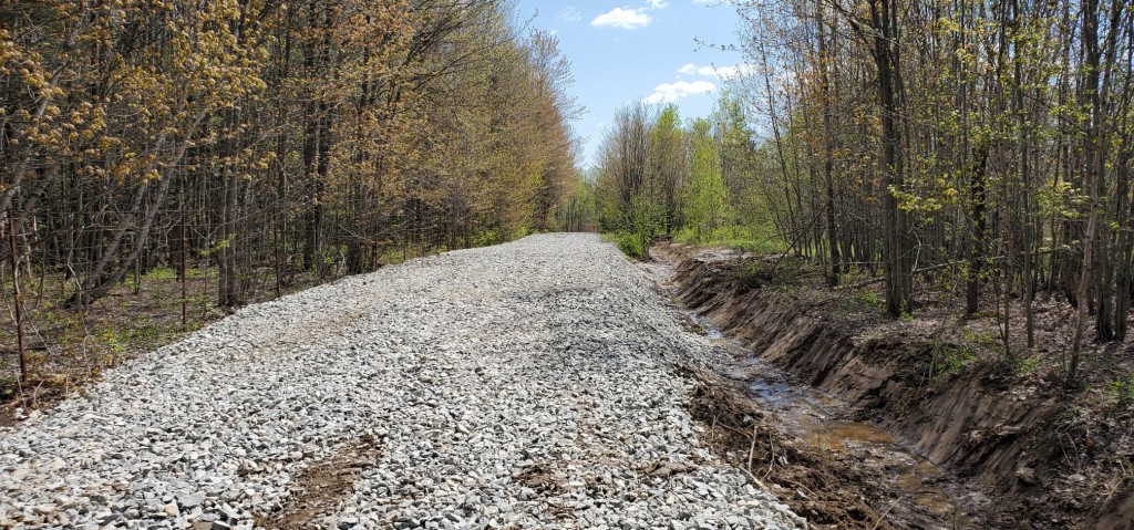 184705269_478161350129199_5747878646508977189_n